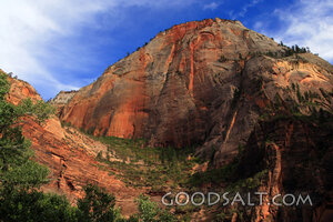 UTAH. Zion National Park. Cable Mountain in late afternoon. 
