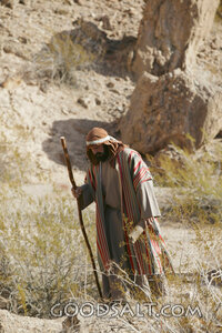 Israelite Shepherd in the Wilderness