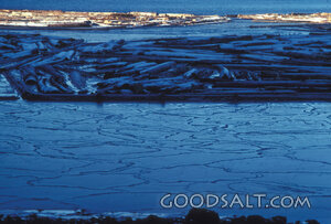 Frozen Lake with Timber in Winter