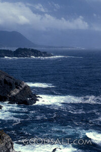 Mighty Waves Along the Rugged Coast