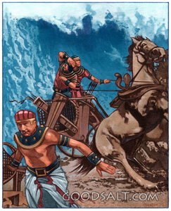 Egyptian Chariots in the Red Sea
