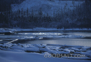 Frozen River in the Winter Wilderness