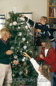 Family Decorating the Christmas Tree