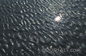 Sunlight on Wet Earth