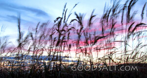 Wheat Field at Sunrise