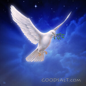 White Dove in Night Sky