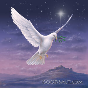 White Dove over Bethlehem