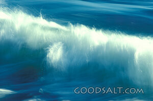 White Wave and the Ocean