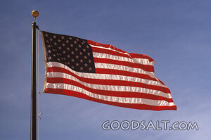 American Flag in the Wind