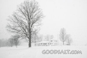 Winter 3