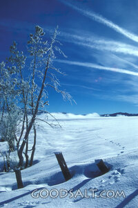 Winter Day