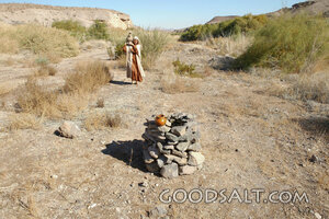 Woman at the Desert Well