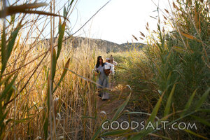 Moses Hidden Among the Reeds