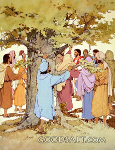 Zacchaeus Climbs the Tree