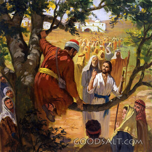 Zacchaeus in the Tree