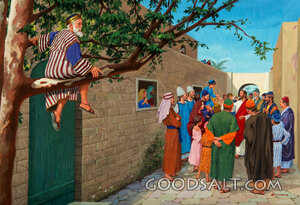 Zacchaeus Sees Jesus