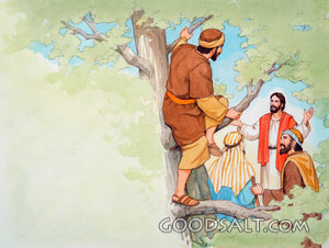 Zacchaeus's View