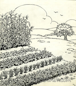 A Growing Garden