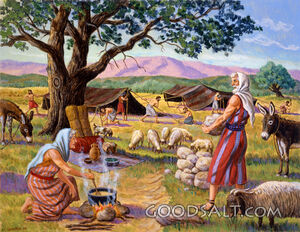 A New Home for Abraham