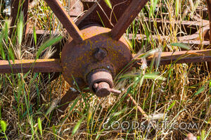 Abandoned rusty farm machinery in the wild flowers.