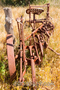 Abandoned rusty farm machinery in the wild flowers.