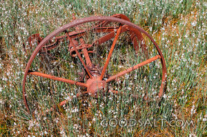 Abandoned rusty farm machinery.