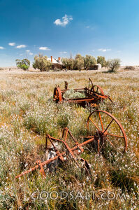 Abandoned rusty farm machinery.