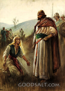Abigail the Peacemaker