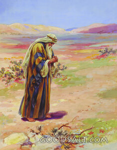Abram on the Plains