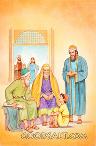 Among the Wise