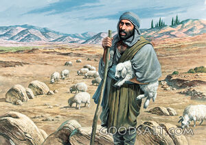 Amos Hears God's Message