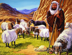 Amos the Keeper of Sheep