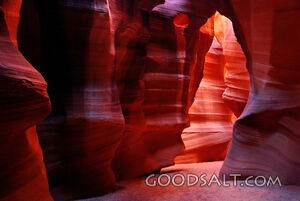 Antelope Slot Sitting Bear