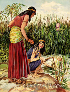 Baby Moses Found