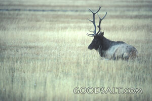 jtbps0980