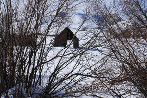Barn in Snow