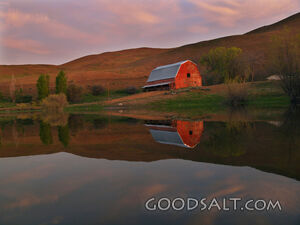Barn Reflection