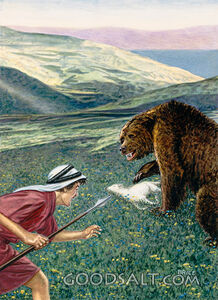 Bear Attack!