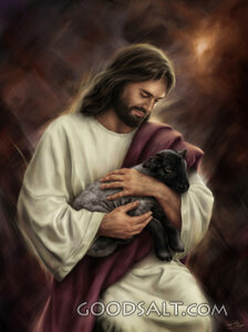 Behold