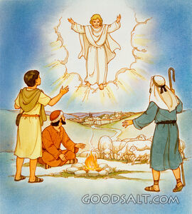 Behold, Messiah Is Born