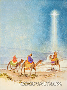 Behold the Star