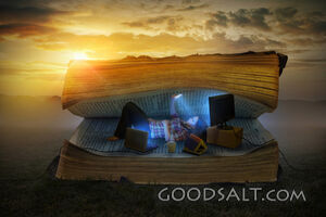 Bible Study and Distractions