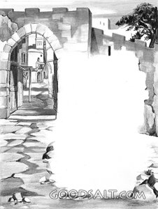 Bible Town Street With Vignette