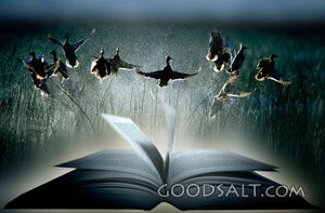 Birds Flying Out of Bible