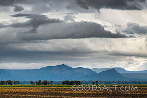 Blue mountains behind farmland.
