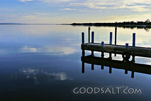 boardwalk overlooking water