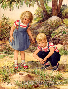 Boy and Girl Watching Ants