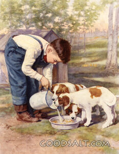 Boy Feeding Puppies