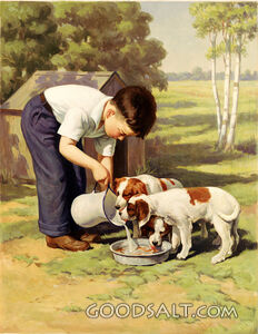 Boy Feeding Puppies