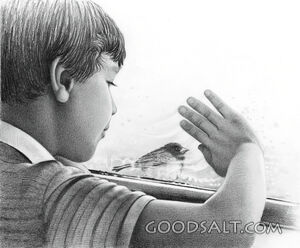 Boy Looking Out Window at Bird